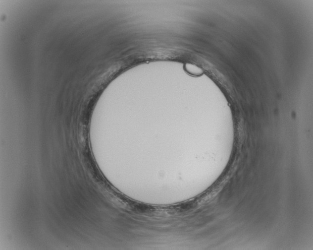 X0000072520305200607140944