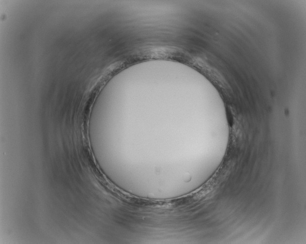 X0000072520306200607140944