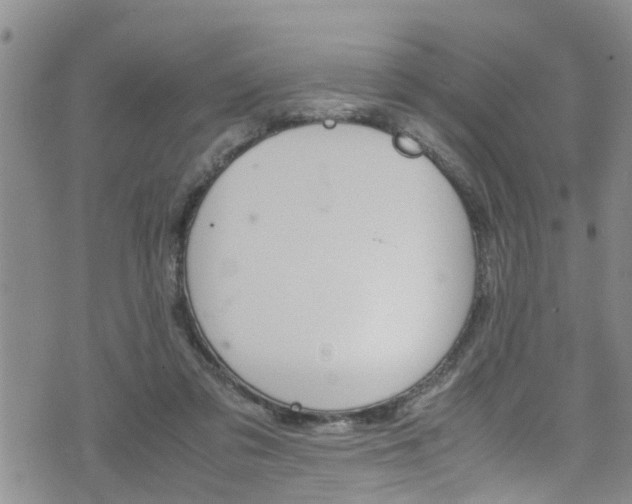 X0000072520309200607140944