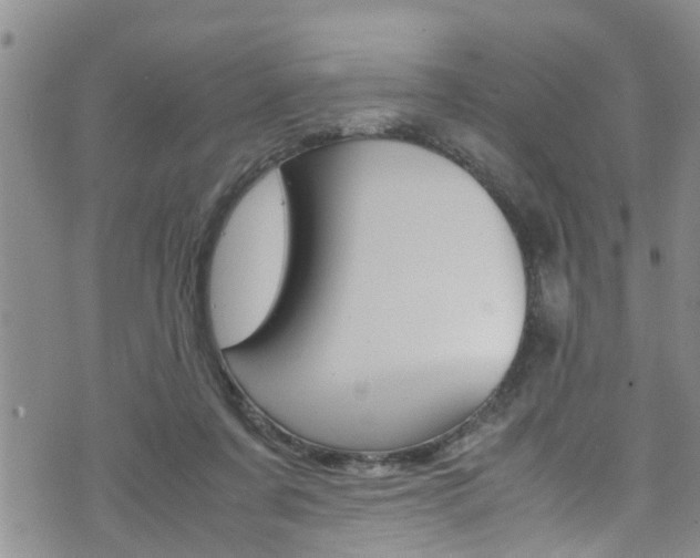 X0000072520311200607140944