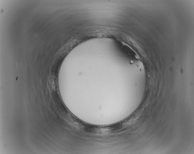 X0000072520313200607140944