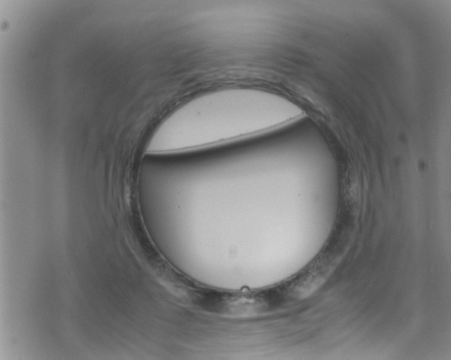 X0000072520315200607140944