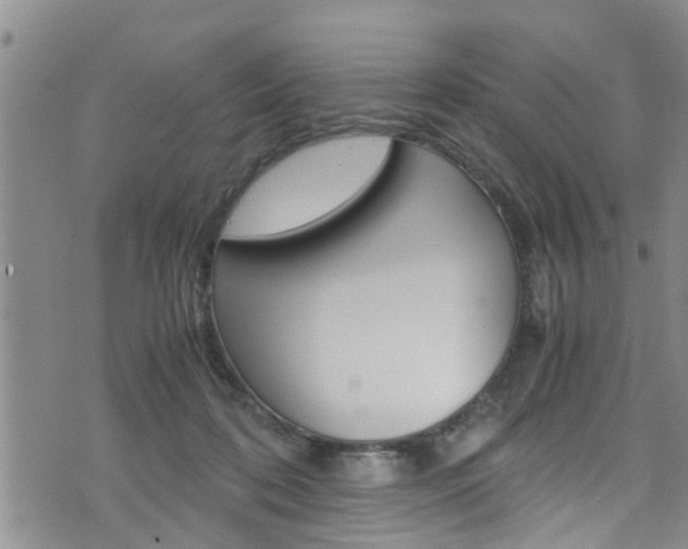 X0000072520316200607140944