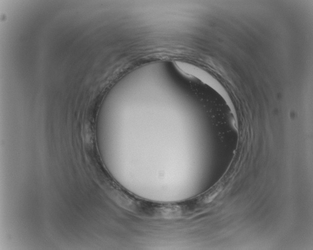 X0000072520317200607140944