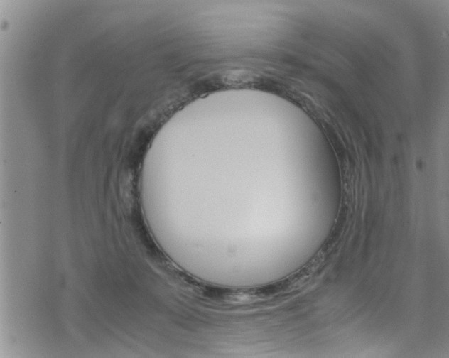 X0000072520319200607140944