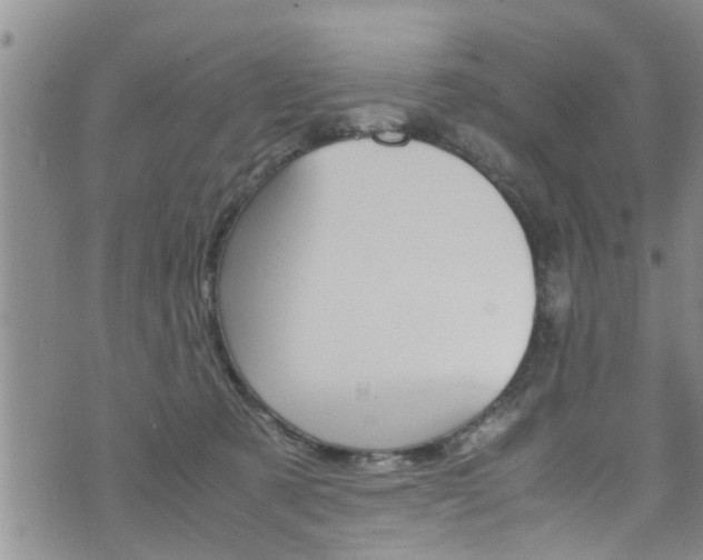 X0000072520321200607140944