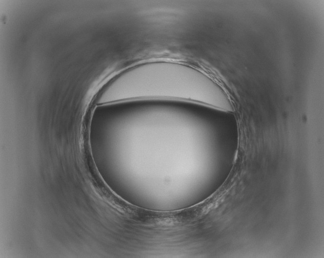 X0000072520344200607140943
