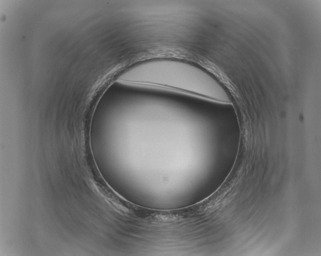 X0000072520442200607140941