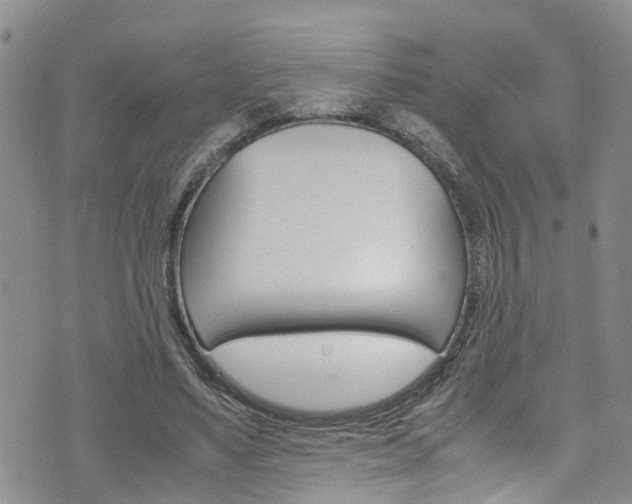 X0000072520491200607140941