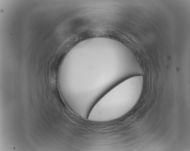 X0000072520507200607140941