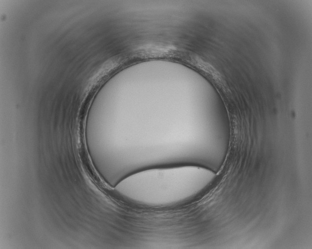 X0000072520582200607140939
