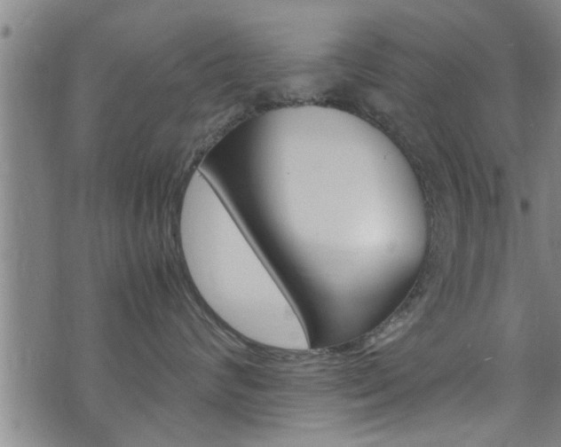 X0000072520624200607140939