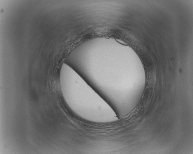 X0000072520703200607140937