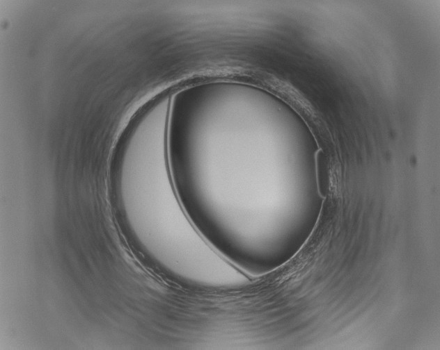 X0000072520724200607140936