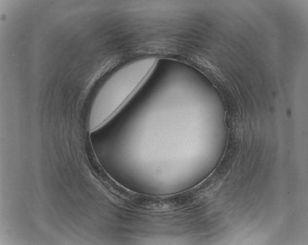 X0000072520735200607140937