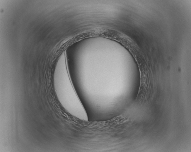 X0000072520773200607140936