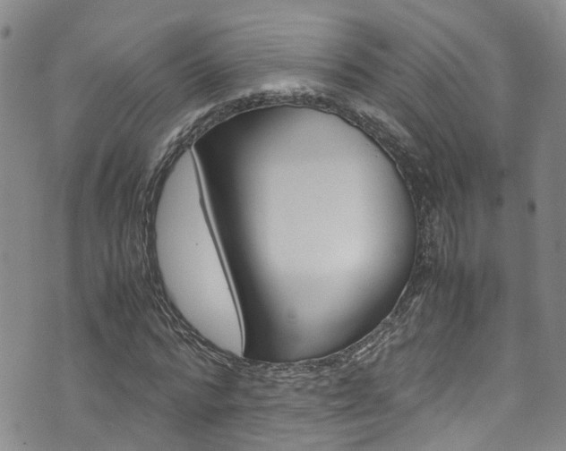X0000072520776200607140936