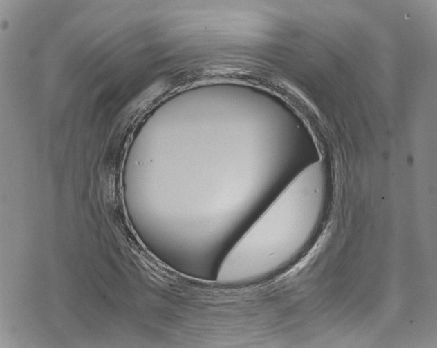 X0000072520777200607140936