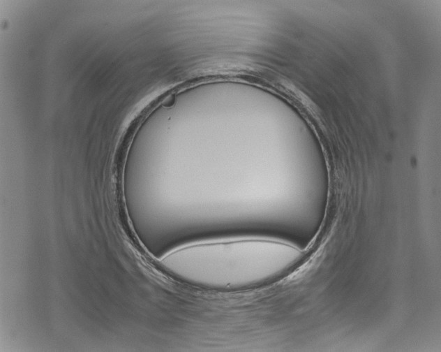 X0000072520779200607140936