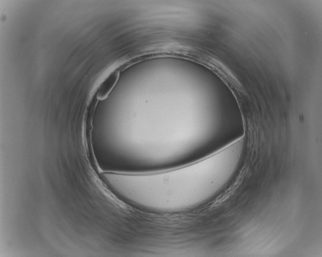 X0000072520788200607140936