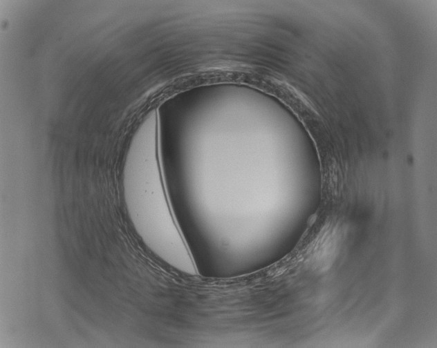 X0000072520821200607140935