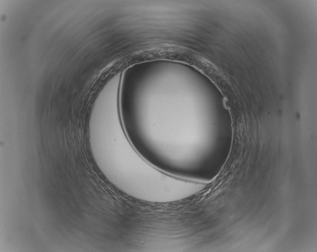 X0000072520822200607140935