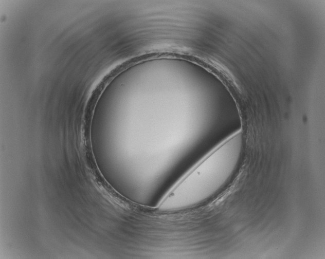 X0000072520880200607140934