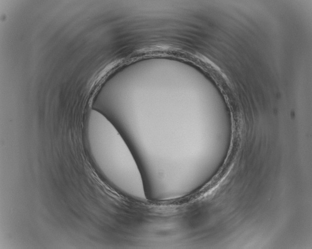 X0000072520921200607140933