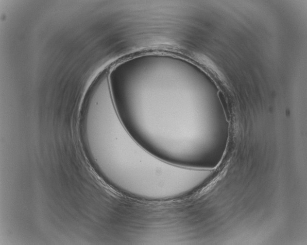 X0000072520924200607140933