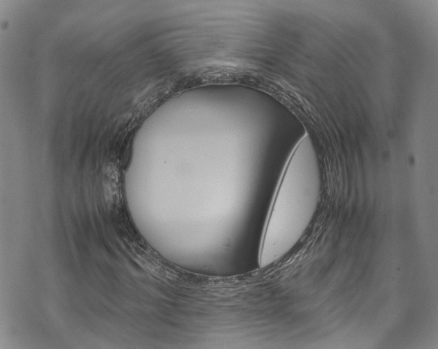 X0000072520964200607140933