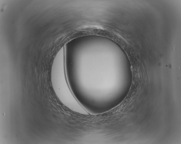 X0000072520965200607140933