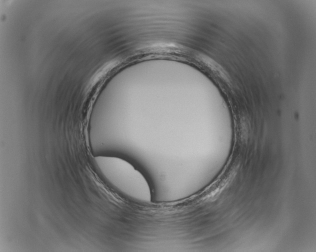 X0000072520970200607140933