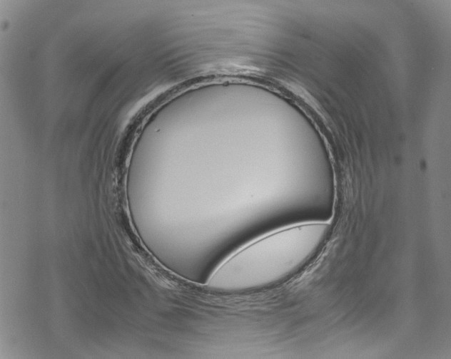 X0000072520971200607140933