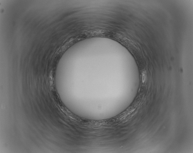 X0000072521011200607140932