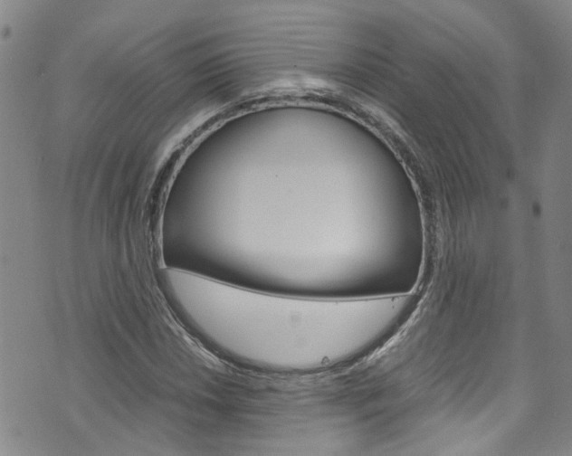 X0000072521018200607140932