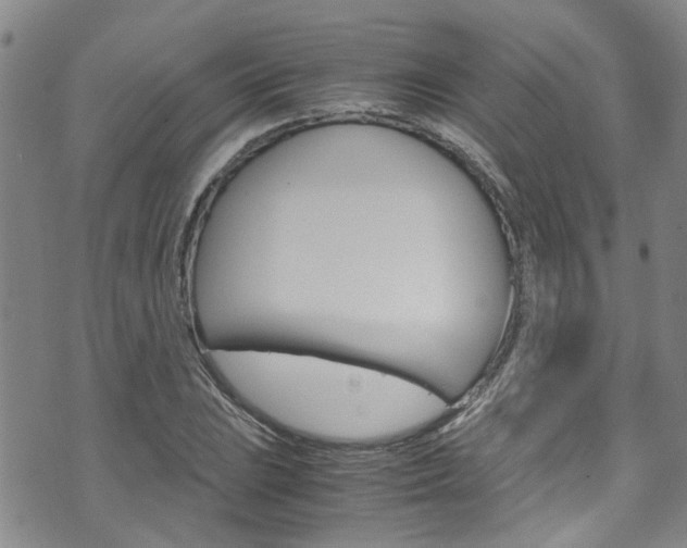X0000072521023200607140932