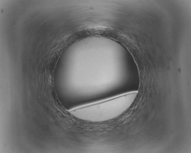X0000072521061200607140932