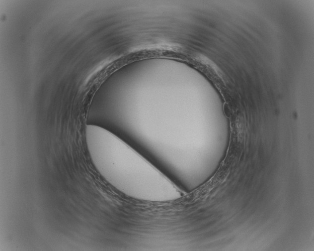 X0000072521064200607140931