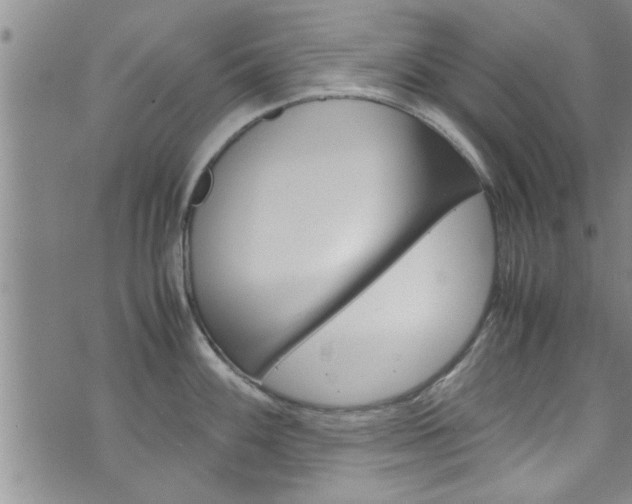 X0000072521100200607140931