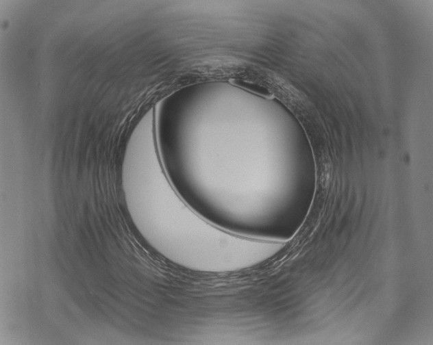X0000072521108200607140930