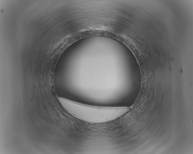 X0000072521110200607140930