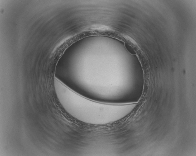 X0000072521112200607140930