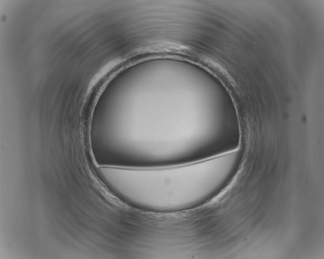 X0000072521114200607140930