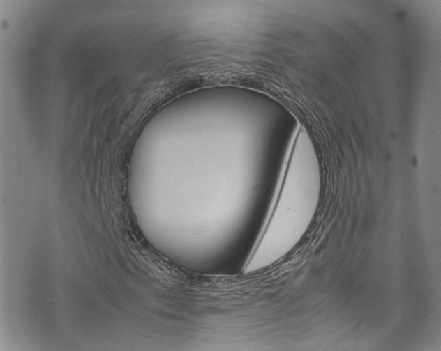 X0000072521153200607140930