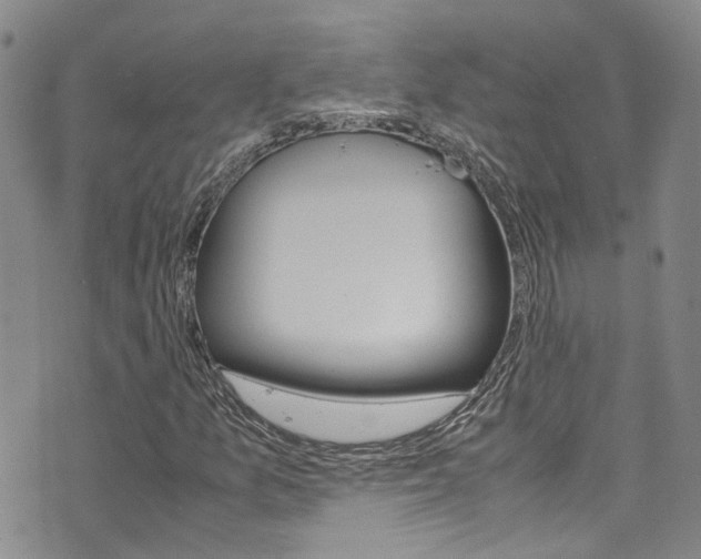 X0000072521157200607140930