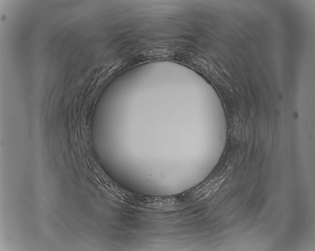 X0000072521201200607140928