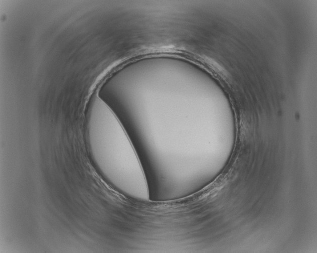 X0000072521212200607140929