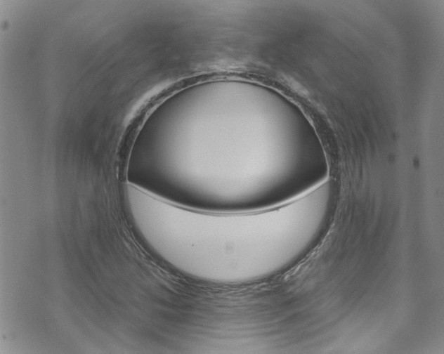 X0000072521214200607140929