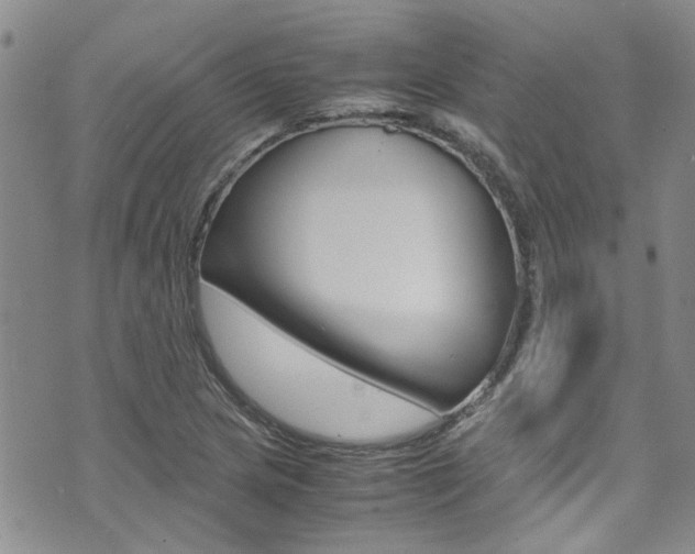 X0000072521217200607140929