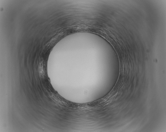X0000072521250200607140928